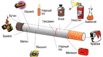 Вредное влияние курения на организм человека
